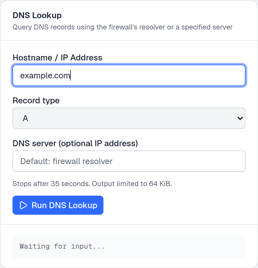 DNS Lookup form with hostname, A record type and default firewall resolver