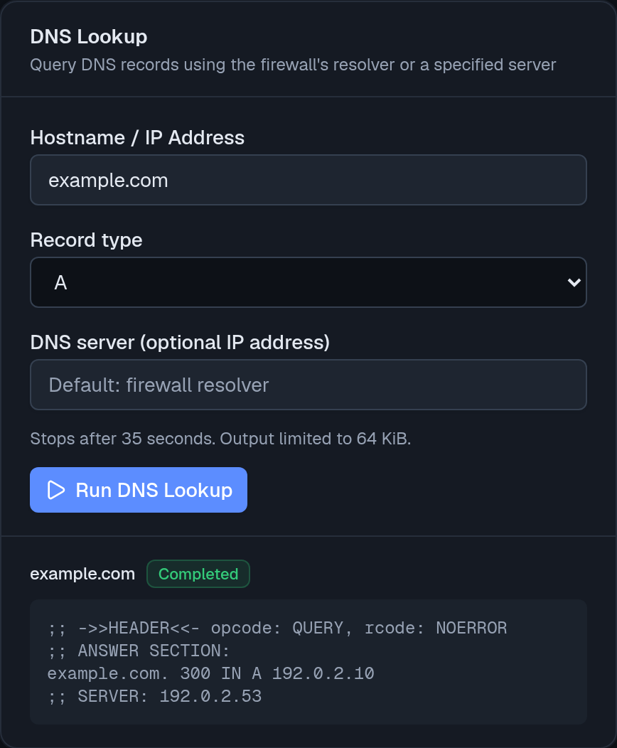 DNS Lookup with a completed query and raw DNS answer