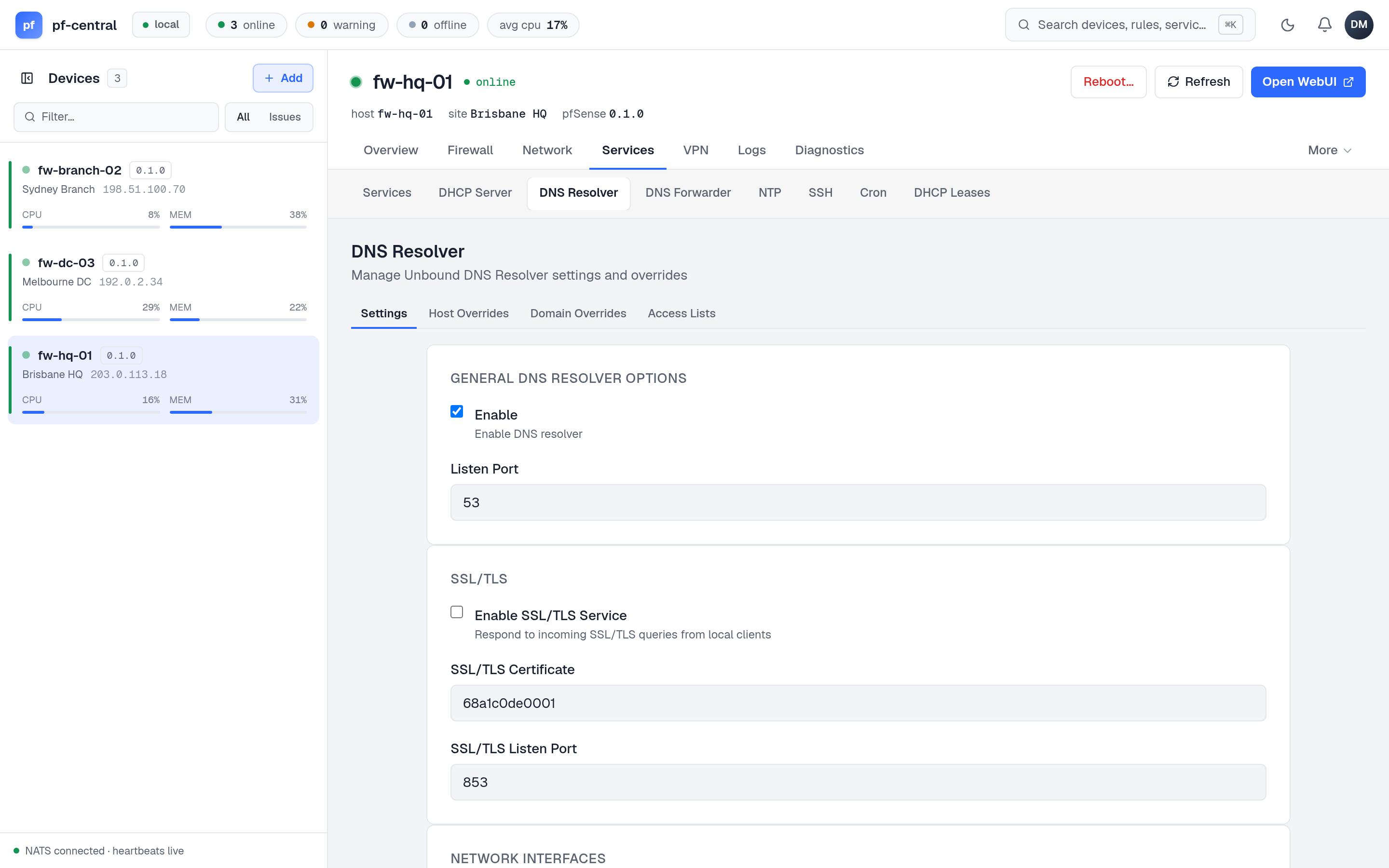 DNS Resolver settings with tabs for host overrides, domain overrides and access lists